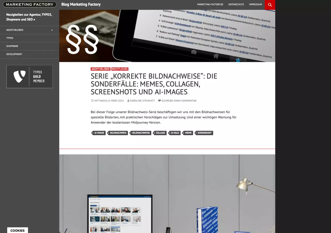 Screenshot unseres alten WordPress-Blogs