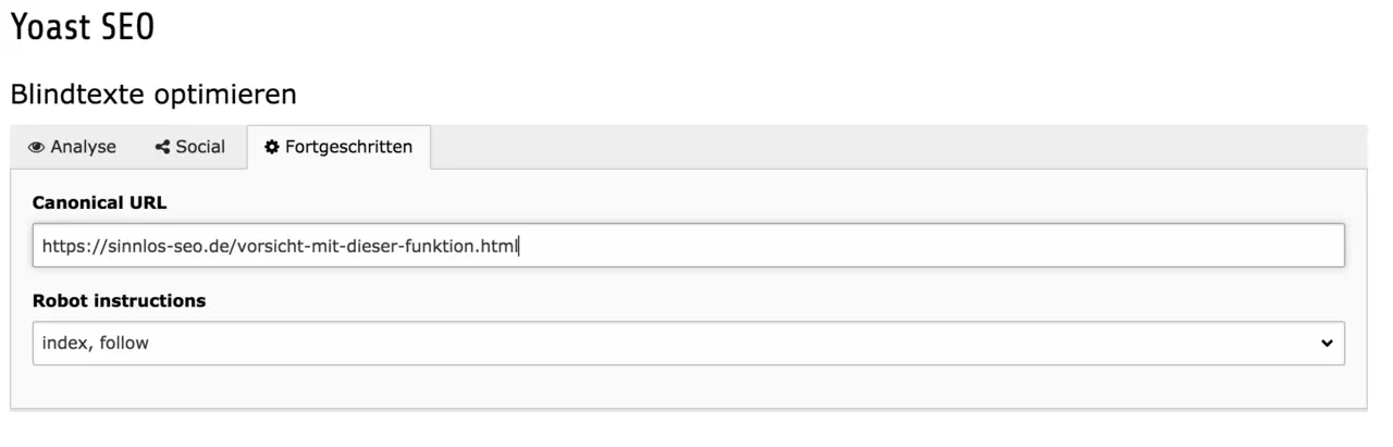 Screenshot vom Fortgeschrittenen-Reiter der Yoast-SEO-Extension